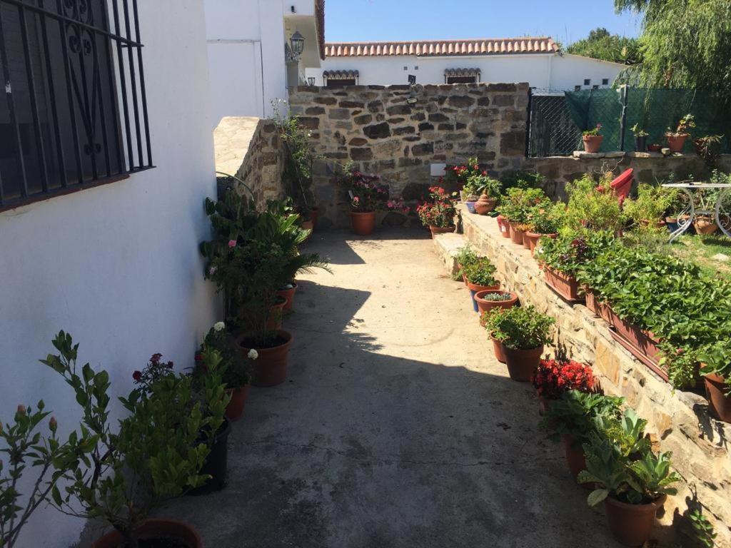 Apartamento Las Adelfas Tarifa Ngoại thất bức ảnh